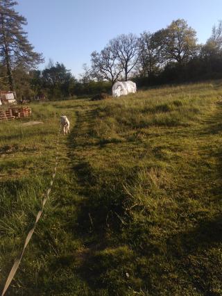 Garage JLF Distribution 0