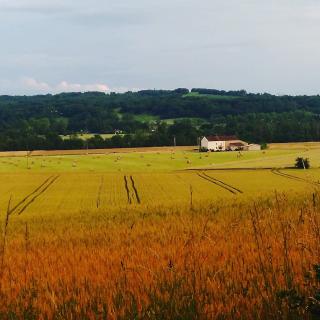Garage JLF Distribution 0