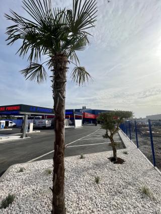 Garage Inter Pneus 0