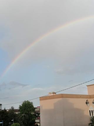 Garage LIGIER STORE - JMR AUTO - VOITURES SANS PERMIS LIGIER ET MICROCAR 0