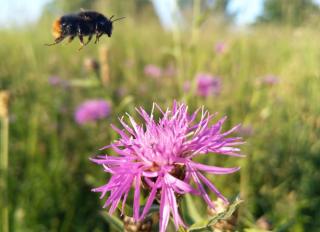 Garage Renault Garage Lucas 0