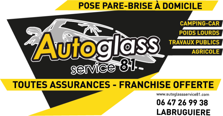 Autoglass service81