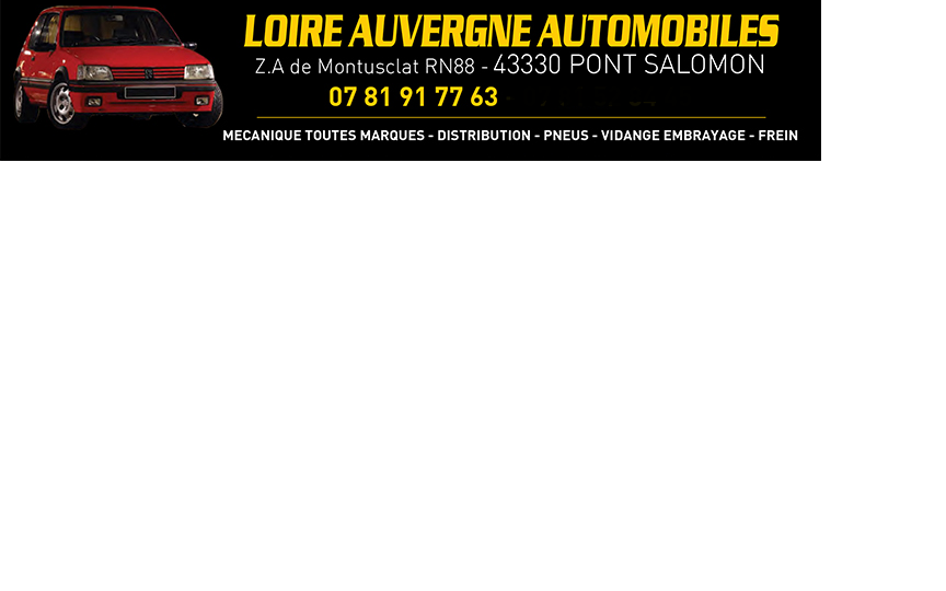 mengsel Mona Lisa Vooruitzien Loire Auvergne Automobiles Pont-Salomon Garage - MyGarages
